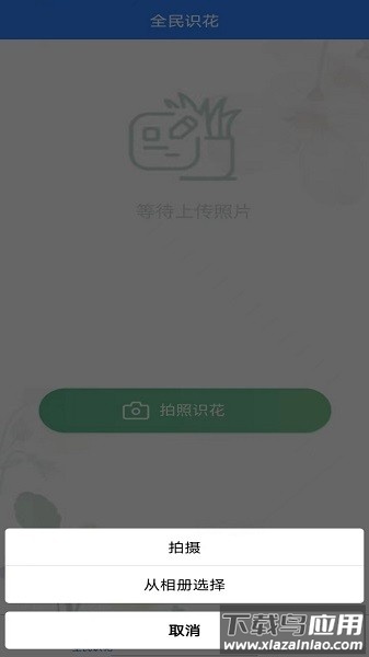 全民识花软件截图2