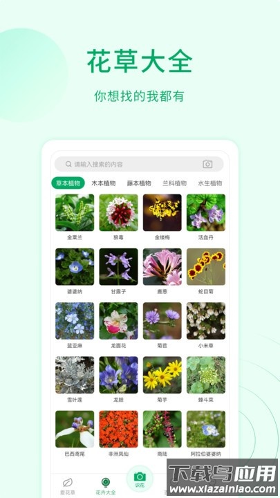 识植物app截图1