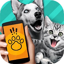 动物交流模拟器app