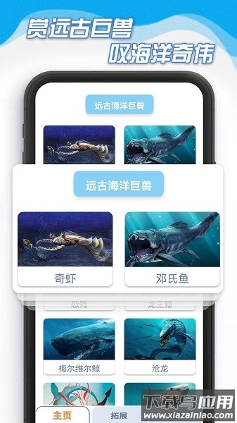 海底百科软件截图4