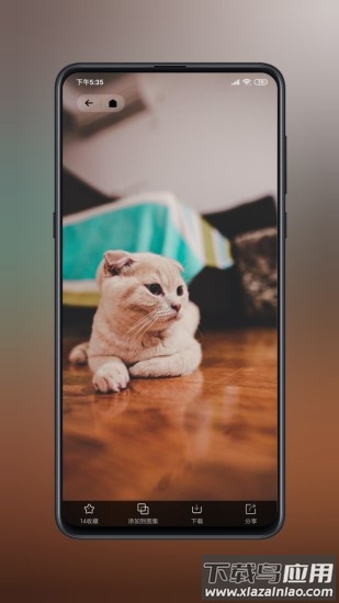 纸塘壁纸软件截图2