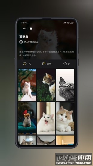 纸塘壁纸软件截图4