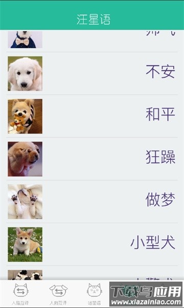 人猫狗翻译器最新版截图3