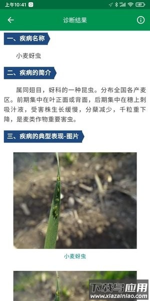 很准农医截图1