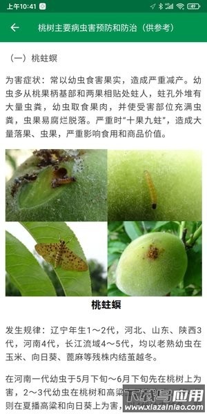 很准农医截图2