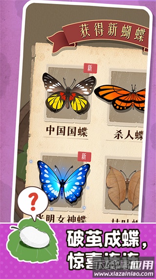 小小养蚕师2025最新版截图1
