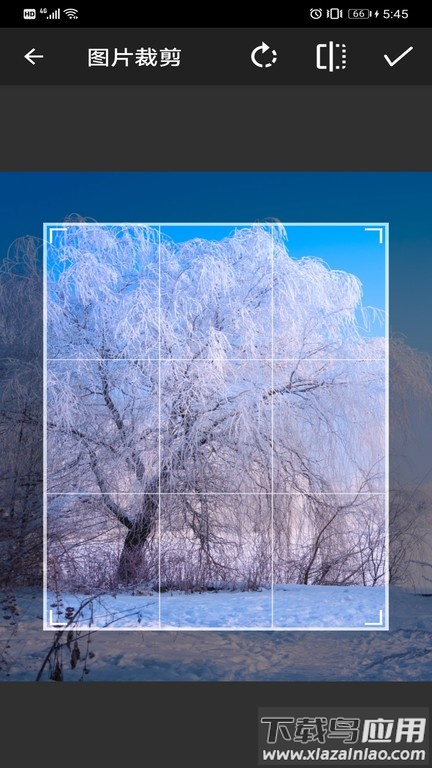 简单画笔app截图3