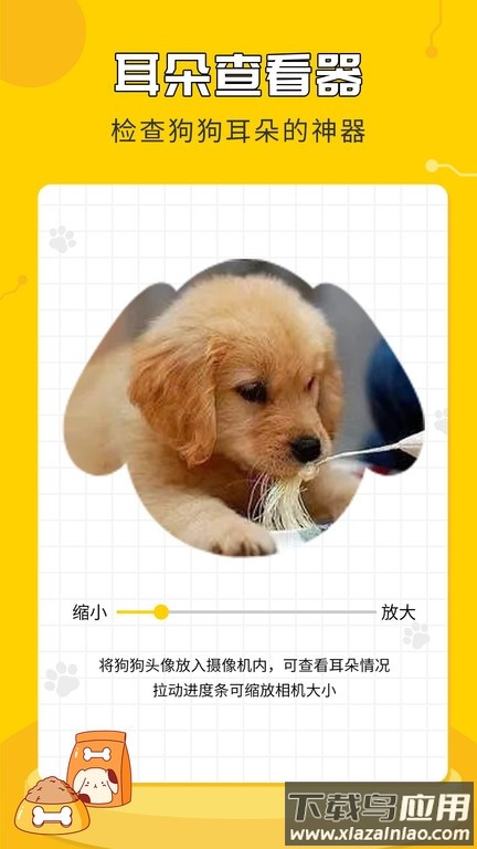人狗翻译神器手机版截图3