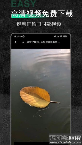 今日素材app(魔音素材)截图1