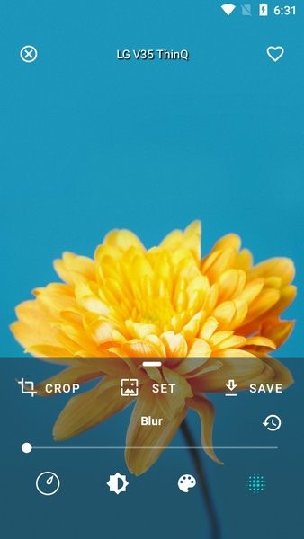walp软件截图3