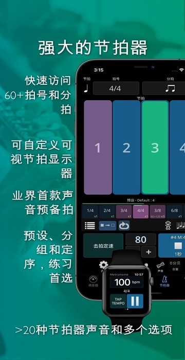 te tuner调音器截图2