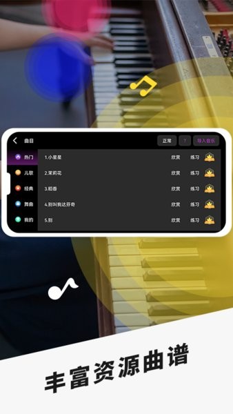 手机模拟钢琴键盘软件截图2