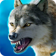 The Wolf狼族