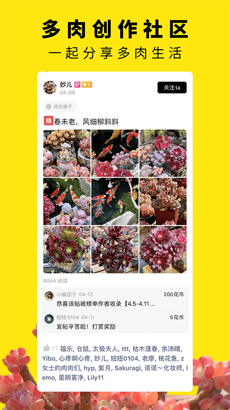 多肉圈app截图4