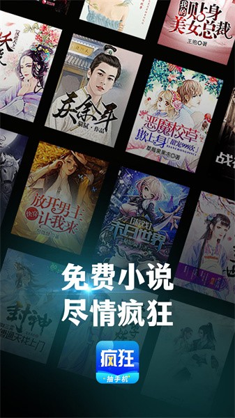 疯狂小说阅读器截图2