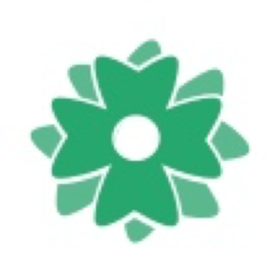 盈袖小说手机版