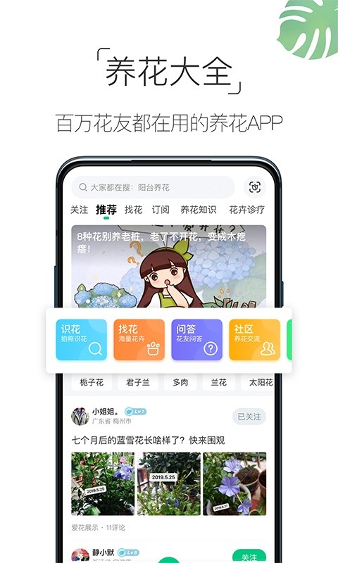 养花大全下载