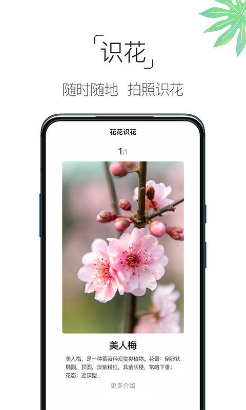 养花大全软件截图2
