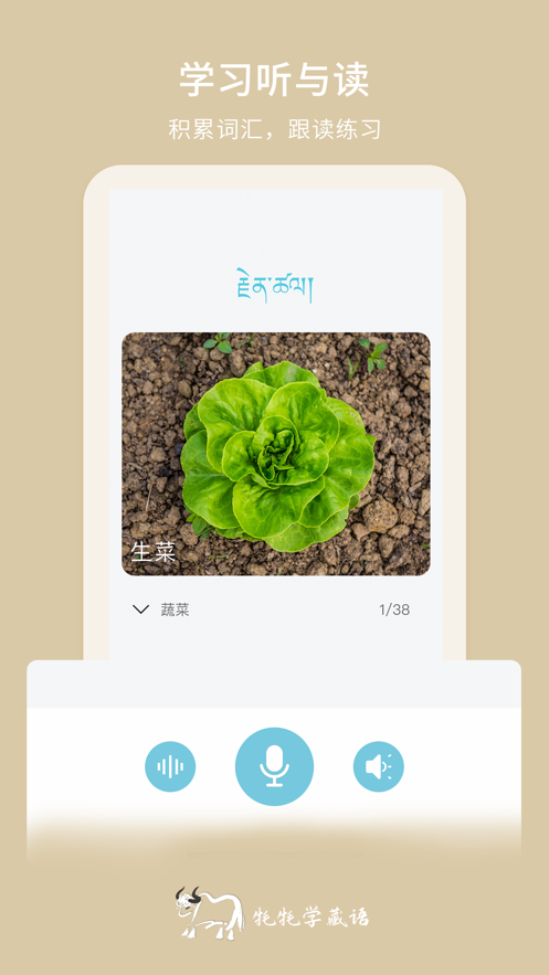 牦牦学藏语APP截图4
