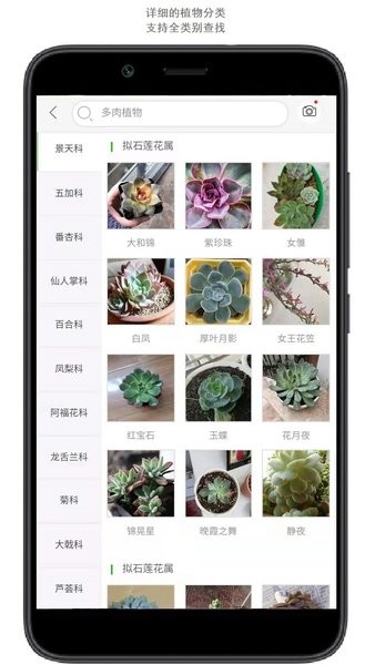 花卉识别扫一扫app截图2