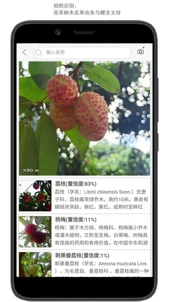 花卉识别扫一扫app截图4