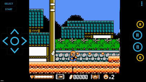 pc模拟器(高级NES)截图2