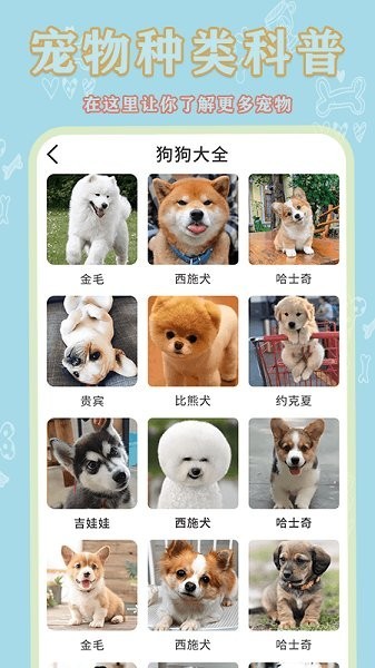宠物大全app