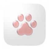 猫爪论坛app官方下载