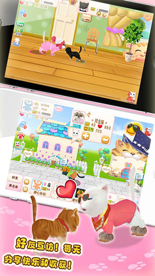 晴天小猫官方版截图5