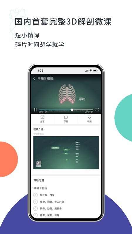 coolmed解剖学软件截图1