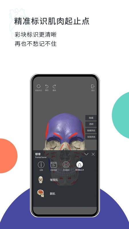 coolmed解剖学软件截图2
