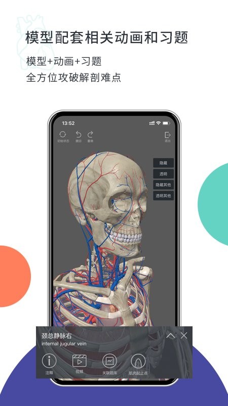 coolmed解剖学软件截图3