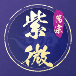 万宗紫微排盘