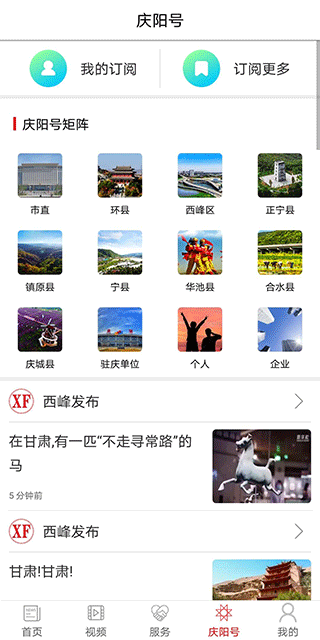 掌中庆阳app截图4