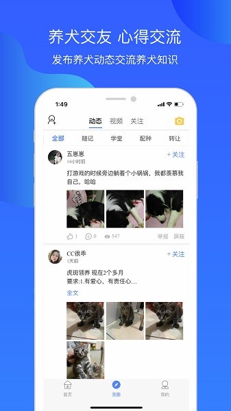 犬卫士官方下载