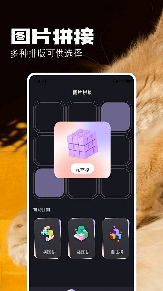 布偶相机app截图3