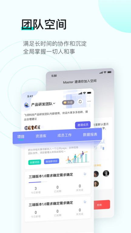 飞项软件截图4