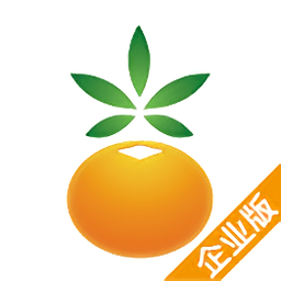 吉林农村信用社企业版