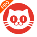 猫眼专业版实时票房app