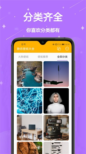 桌面壁纸大全软件(主题壁纸君)截图4