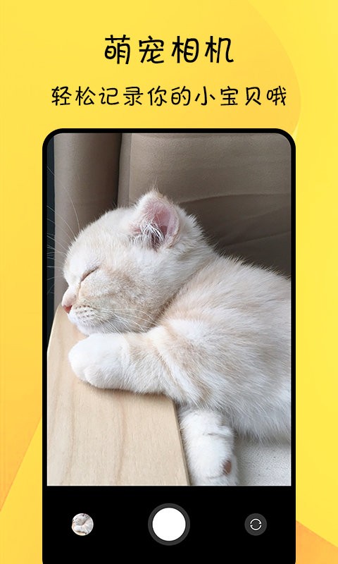 猫翻译软件截图3