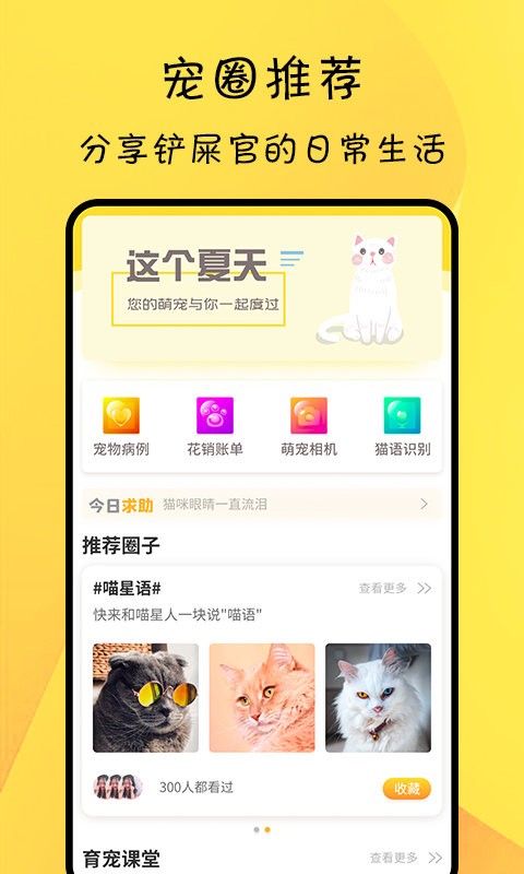 猫翻译软件截图4