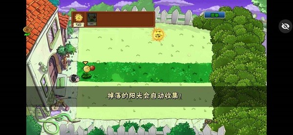 植物大战僵尸ikun大战小黑子截图1