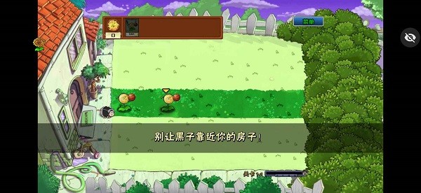 植物大战僵尸ikun大战小黑子截图4