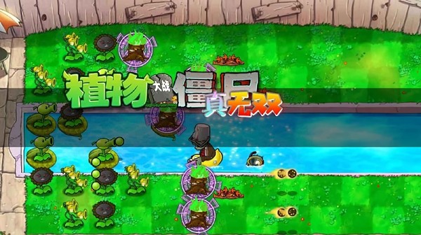植物大战僵尸真无双版新版本