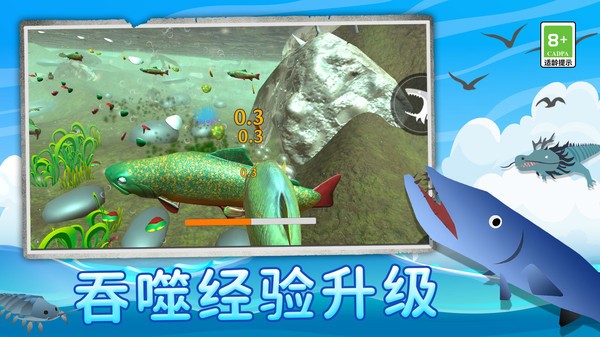 鲨鱼进化记无广告最新版截图2