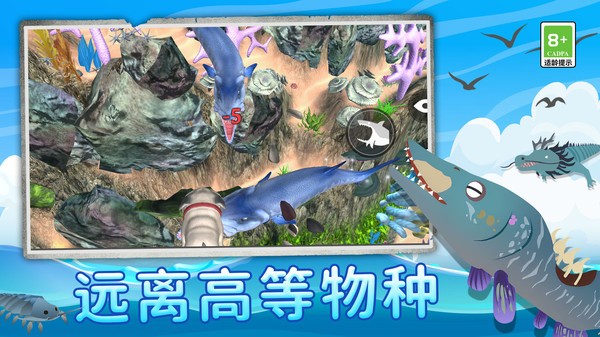 鲨鱼进化记无广告最新版截图3