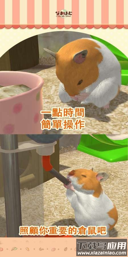 我的仓鼠游戏截图2