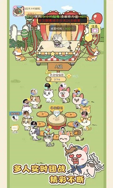 找下猫小游戏最新版截图4