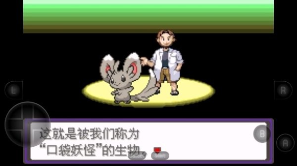 口袋妖怪漆黑的魅影Dp金手指最新版截图2